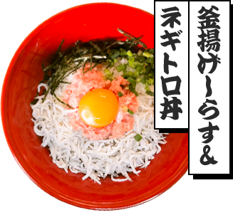釜揚げしらす＆ネギトロの2色丼